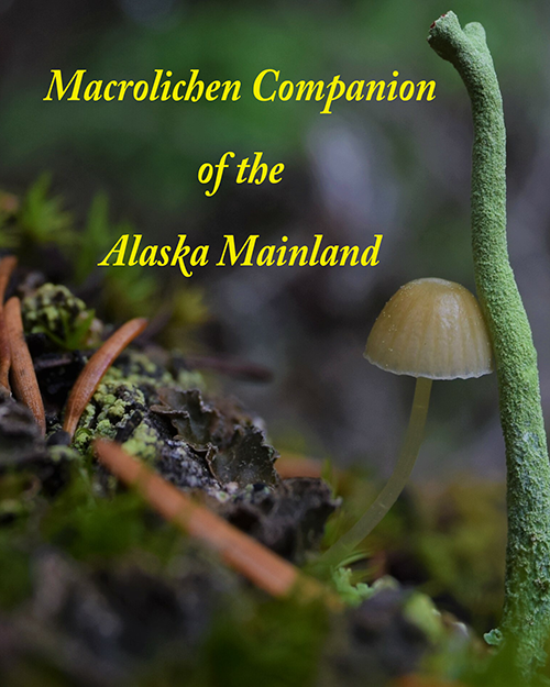 Book cover for “Macrolichen Companion of the Alaska Mainland”